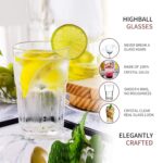 GlassWorld Cutting Chaitime Heavy Base Tall Bar Glass Water & Juice Glasses 300ml (3009) - Image 7