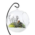 GlassWorld Glass Terrarium With Stand 100% Handmade Tealight Candle Holders for Diwali Christmas Tealights, Corporate Gifts, Home Decor Gift Item, Diwali Decoration, Christmas Decoration - Image 3