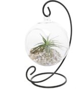GlassWorld Glass Terrarium With Stand 100% Handmade Tealight Candle Holders for Diwali Christmas Tealights, Corporate Gifts, Home Decor Gift Item, Diwali Decoration, Christmas Decoration - Image 4