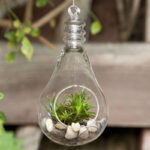 GlassWorld Hanging Glass Terrarium 100% Handmade Bulb Shape Tealight Candle Holders for Diwali Christmas Tealights, Corporate Gifts, Home Decor Gift Item, Diwali Decoration, Christmas Decoration - Image 4