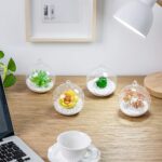 GlassWorld Hanging Glass Terrarium 100% Handmade Tealight Candle Holders for Diwali Christmas Tealights, Corporate Gifts, Home Decor Gift Item, Diwali Decoration, Christmas Decoration - Image 3