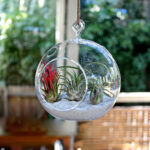 GlassWorld Hanging Glass Terrarium 100% Handmade Tealight Candle Holders for Diwali Christmas Tealights, Corporate Gifts, Home Decor Gift Item, Diwali Decoration, Christmas Decoration - Image 4